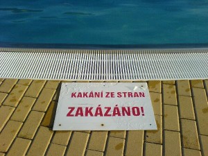 Obrazek